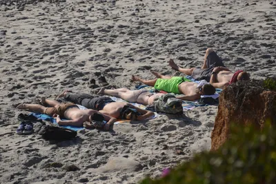 DSC_6948 (Large).JPG